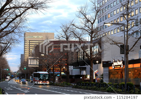 城市景觀 橫濱山下公園街 城市景觀 橫濱山下公園街 115284197