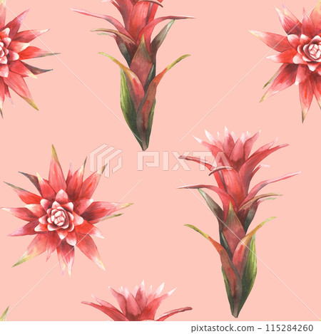 Tropical red flower seamless pattern, watercolor home plant buds and leaves. Exotic bromeliad, jungle tropical floral print. Hand drawn illustration for summer wallpaper. Isolated on peach background Tropical red flower seamless pattern, watercolor home plant buds and leaves. Exotic bromeliad, jungle tropical floral print. Hand drawn illustration for summer wallpaper. Isolated on peach background 115284260