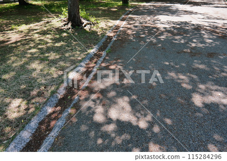 混凝土地面上的樹影 混凝土地面上的樹影 115284296