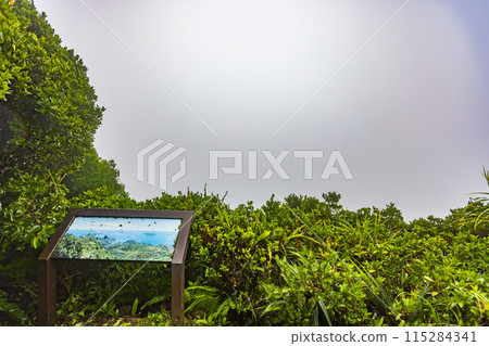 小笠原群島/母島 從有莊山頂看到的風景 小笠原群島/母島 從有莊山頂看到的風景 115284341