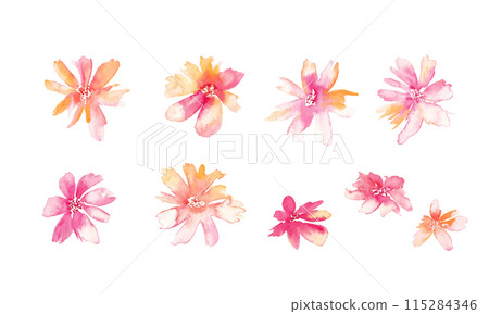 Watercolor painting. Watercolor flower and plant illustration. Botanical vector illustration. Gorgeous floral decorative illustration. Watercolor painting. Watercolor flower and plant illustration. Botanical vector illustration. Gorgeous floral decorative illustration. 115284346