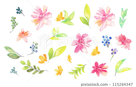 Watercolor painting. Watercolor flower and plant illustration. Botanical vector illustration. Gorgeous floral decorative illustration. 115284347