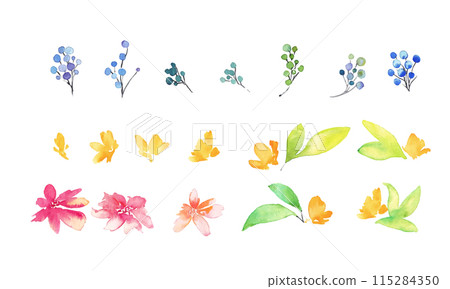 Watercolor painting. Watercolor flower and plant illustration. Botanical vector illustration. Gorgeous floral decorative illustration. Watercolor painting. Watercolor flower and plant illustration. Botanical vector illustration. Gorgeous floral decorative illustration. 115284350