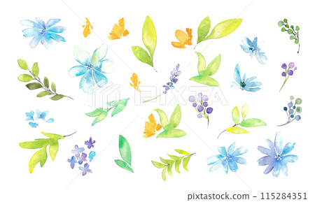 Watercolor painting. Watercolor flower and plant illustration. Botanical vector illustration. Gorgeous floral decorative illustration. 115284351