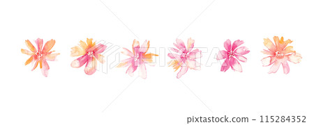 Watercolor painting. Watercolor flower and plant illustration. Botanical vector illustration. Gorgeous floral decorative illustration. 115284352