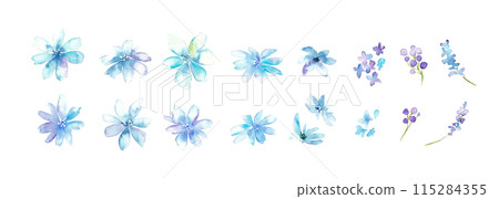 水彩。帶有水彩風格的花卉和植物插圖。植物學向量圖。華麗的花卉裝飾插圖。 115284355