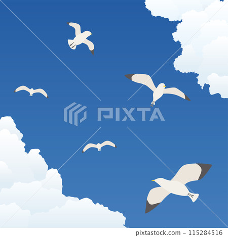 海鷗在天空飛翔，夏天的天空風景 115284516