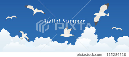 海鷗在天空飛翔，夏天的天空風景 115284518