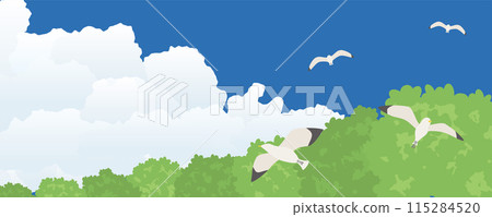 Seagulls flying in the sky Summer sky scenery Seagulls flying in the sky Summer sky scenery 115284520