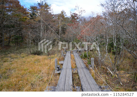 Numapara Marshland 2023-10-23 #56 115284527