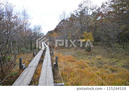 Numapara Marshland 2023-10-23 #57 115284528
