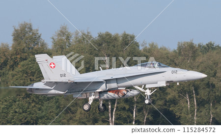 Swiss Air Force F / A-18C Hornet Landing Swiss Air Force F / A-18C Hornet Landing 115284572