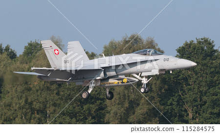 Swiss Air Force F / A-18C Hornet Landing 115284575