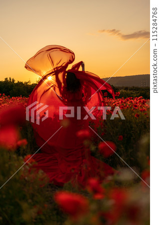 Woman poppy field red dress sunset. Happy woman in a long red dress in a beautiful large poppy field. Blond stands with her back posing on a large field of red poppies 115284768
