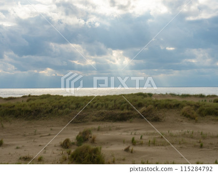 Egmond, Netherlands - August 5th 2023: Beautiful coastline with sand dunes in the afternoon sunshine 115284792