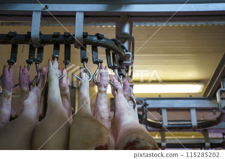 Pork meat in production. Fresh pork carcasses in a meat factory warehouse Pork meat in production. Fresh pork carcasses in a meat factory warehouse 115285202