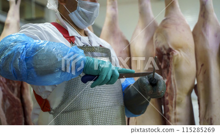 Pork meat in production. Fresh pork carcasses in a meat factory warehouse Pork meat in production. Fresh pork carcasses in a meat factory warehouse 115285269