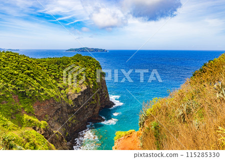 小笠原群島母島風景 115285330
