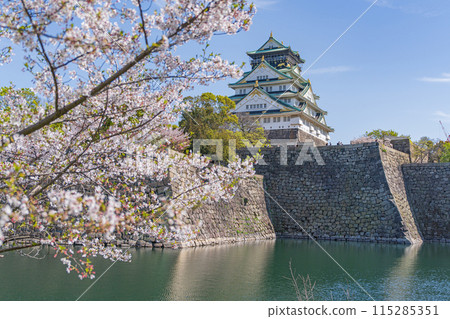 [櫻花]春天的大阪城公園[大阪城天守閣] 115285351