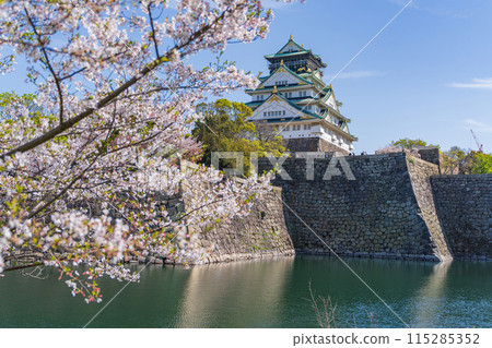 [Cherry Blossoms] Osaka Castle Park in Spring [Osaka Castle Tower] 115285352