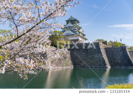 [Cherry Blossoms] Osaka Castle Park in Spring [Osaka Castle Tower] 115285354