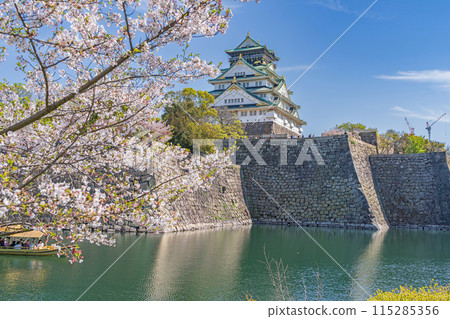 [Cherry Blossoms] Osaka Castle Park in Spring [Osaka Castle Tower] 115285356