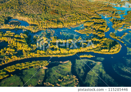 Aerial View Green Forest Woods And River Landscape In Sunny Spring Summer Day. Top View Of Nature, Bird's Eye View. Trees Standing In Water During Spring Flood floodwaters. woods in Water deluge 115285446