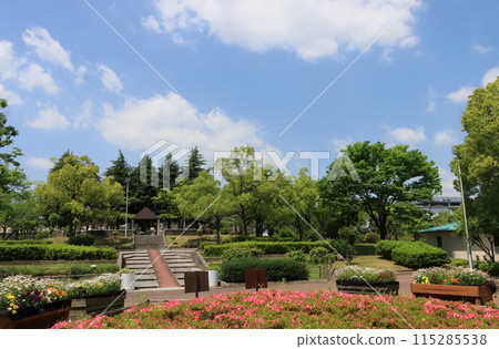 伊丹市西伊那公園的花壇 115285538