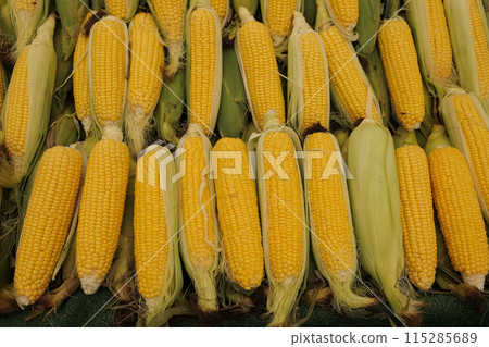 yellow fresh corn on the stall at Turkish market. 115285689