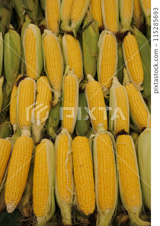 yellow fresh corn on the stall at Turkish market. yellow fresh corn on the stall at Turkish market. 115285693