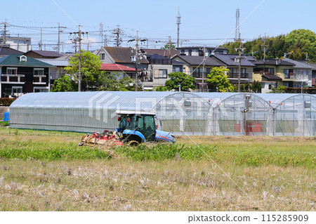 田野裡的乙烯基房子 田野裡的乙烯基房子 115285909
