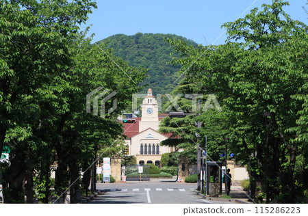 Nishinomiya City: Cherry blossom trees at Kamikotoen Garden and the clock tower at Kwansei Gakuin University 115286223