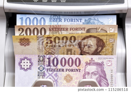 Hungarian money - forint in a counting machine Hungarian money - forint in a counting machine 115286518