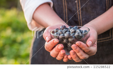 Farmer keeps a handful of blueberries - a healthy berry full of vitamins 115286522