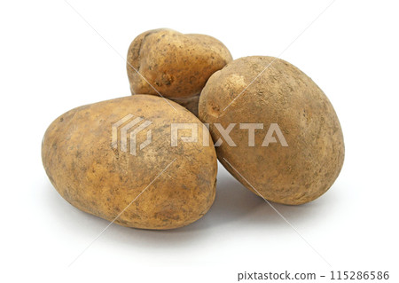 馬鈴薯（光） 115286586