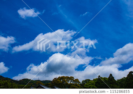 [Kyoto scenery] The sky of Daigo 115286855