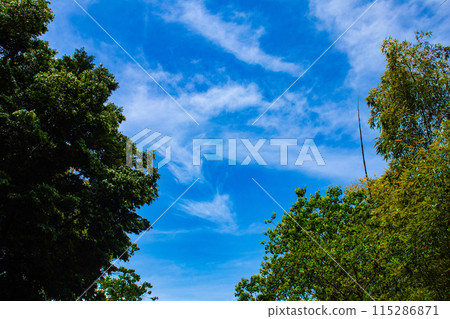 [Kyoto scenery] The sky of Daigo 115286871