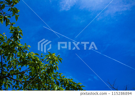 [京都風景]醍醐天空 115286894