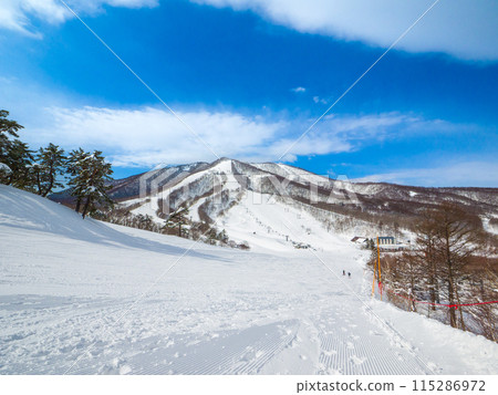 Sunny ski slopes (Madarao Highlands, Nagano Prefecture) Sunny ski slopes (Madarao Highlands, Nagano Prefecture) 115286972