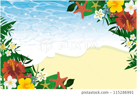 Tropical image background Tropical image background 115286991