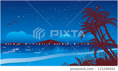 Tropical beach night Tropical beach night 115286992