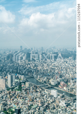 [東京] 建築物密集的大城市的城市景觀 115287094