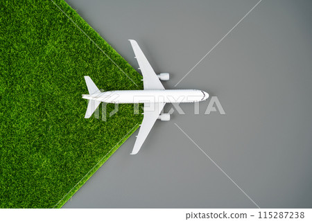 A airliner plane spreads green grass. Transition to environmentally friendly fuels, electric traction. Technological innovations. Concept of environmental friendliness and clean emissions. 115287238