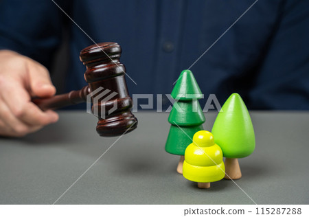 Judge with gavel and forest. Legislative protection of forests and nature reserves. Quotas and rules for use. Sale of natural resources through auction. Judge with gavel and forest. Legislative protection of forests and nature reserves. Quotas and rules for use. Sale of natural resources through auction. 115287288