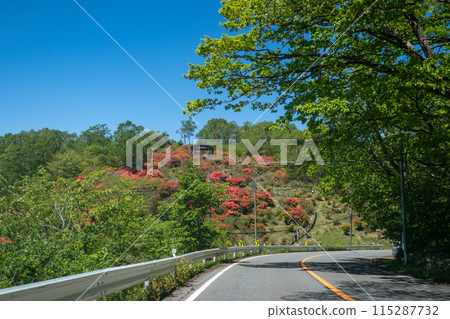 The road to Mount Akagi in early summer The road to Mount Akagi in early summer 115287732