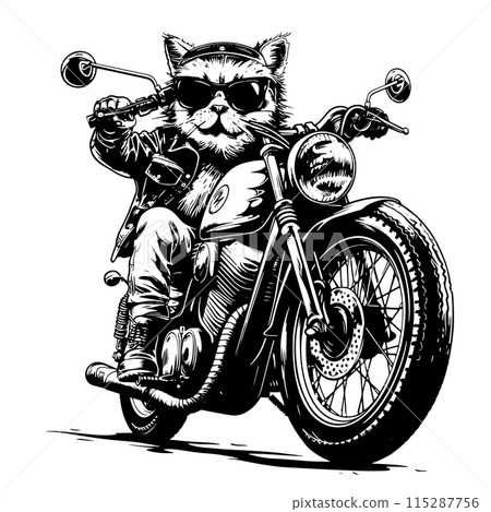 Furry Cat Cruising on Sleek Motorcycle 115287756