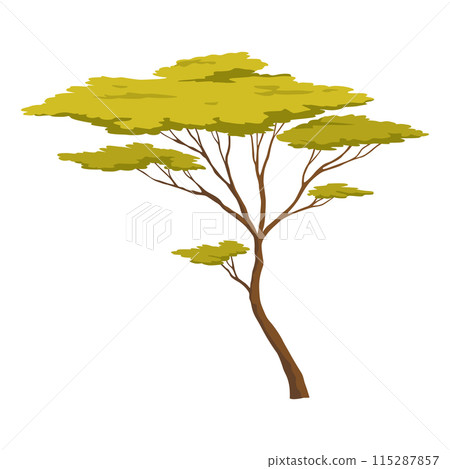 Three shapes of beautiful trees in African nature, vector illustration isolated no background 115287857