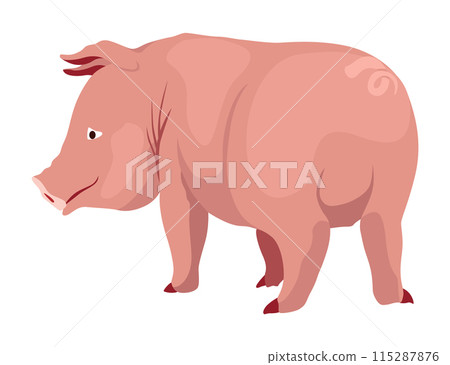 Pig set flat cartoon isolated on white background. Pink pig vector illustration 115287876