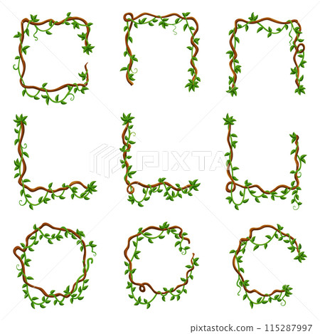 Liana jungle frames. Rainforest liana wild greenery. Cartoon plants, creeper branch. Grass and wood leaf signs. Botany texture. Vector forest game elements set 115287997