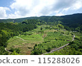 Nakata rice terraces with fresh greenery 115288026